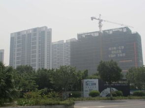 搶租南沙城好房 超低價(jià)機(jī)會(huì)，先到先得，可注冊(cè)公司